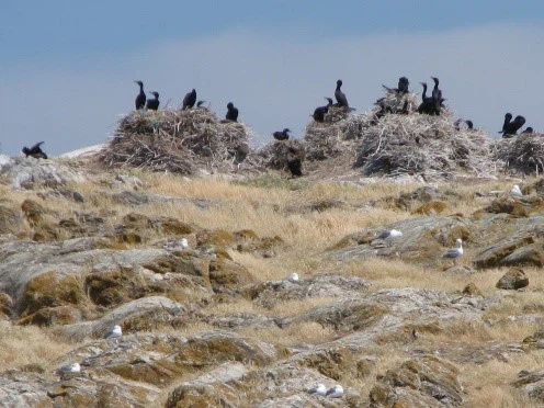 Ecological Reserves Ecological Reserves